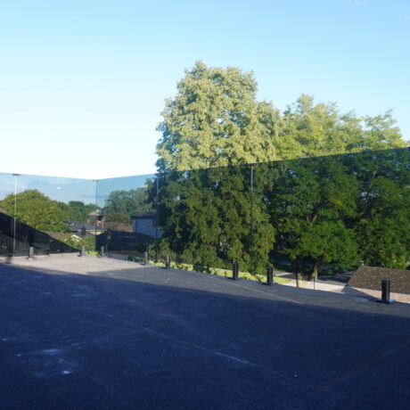 DSC02113